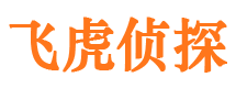 乐平市调查公司